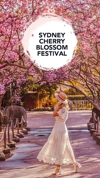 Sydney Cherry Blossom Festival